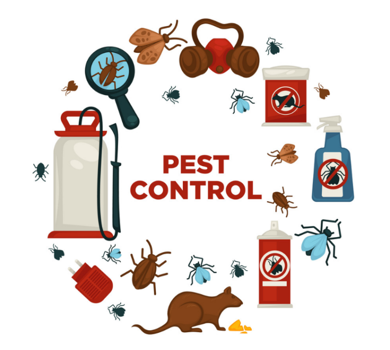 8 Reasons Why You Need Pest Control Services 2020 Guide Inserbia News