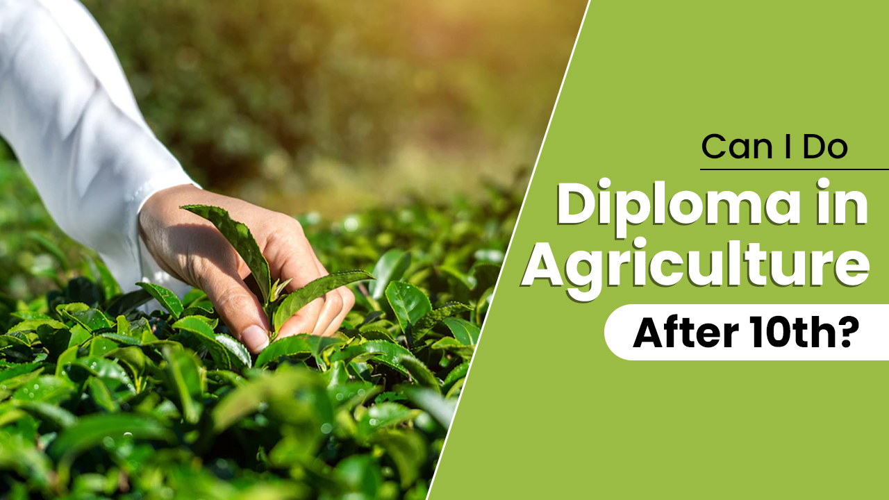 can-i-do-a-diploma-in-agriculture-after-the-10th-inserbia-news